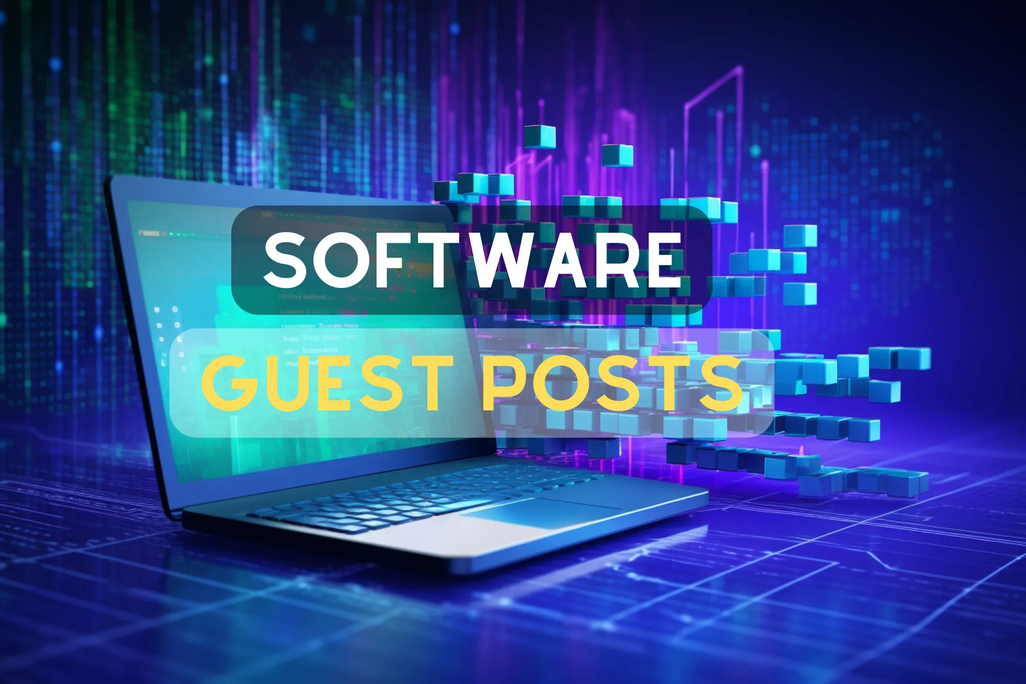 Software Guest Post