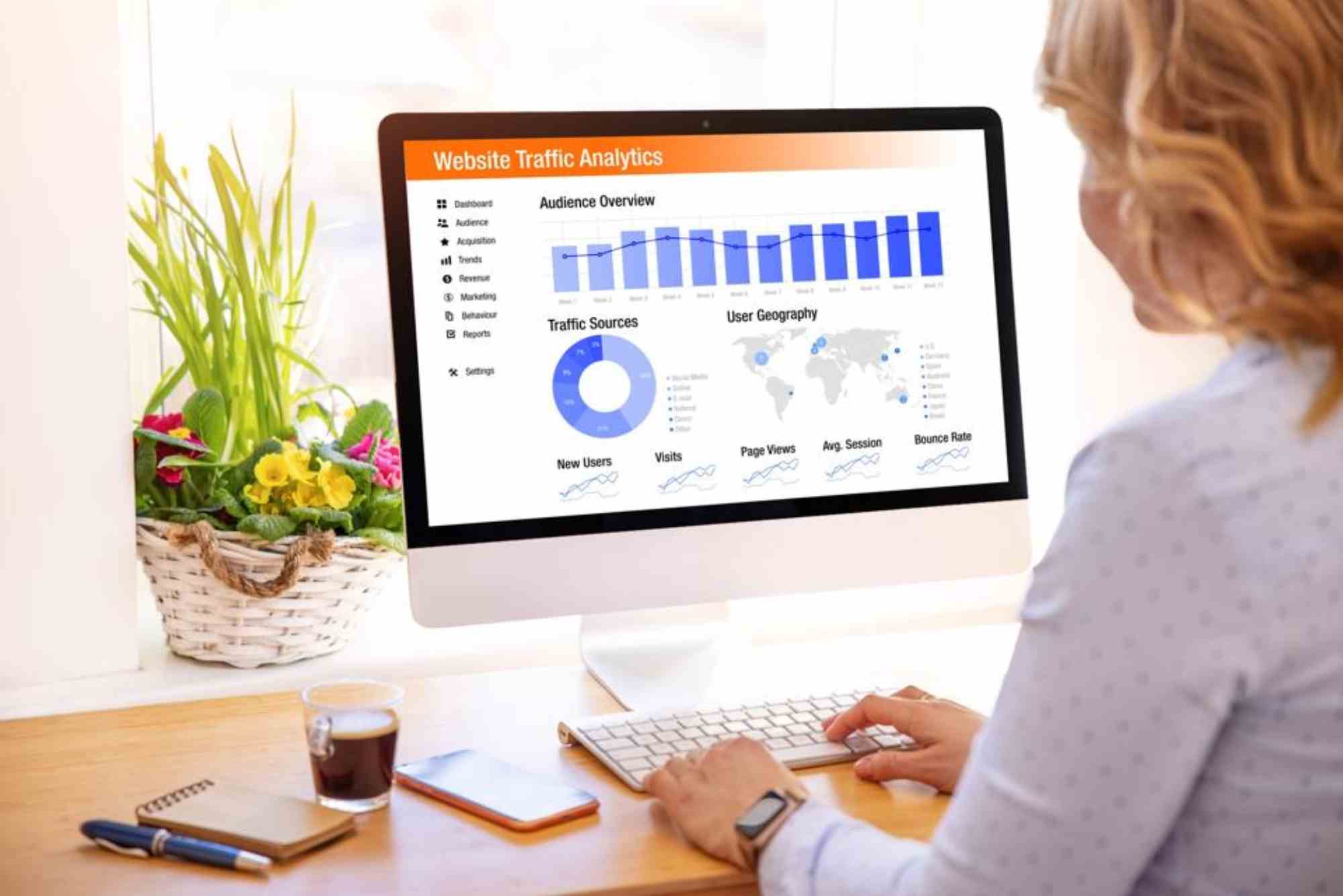Semrush Traffic Analytics
