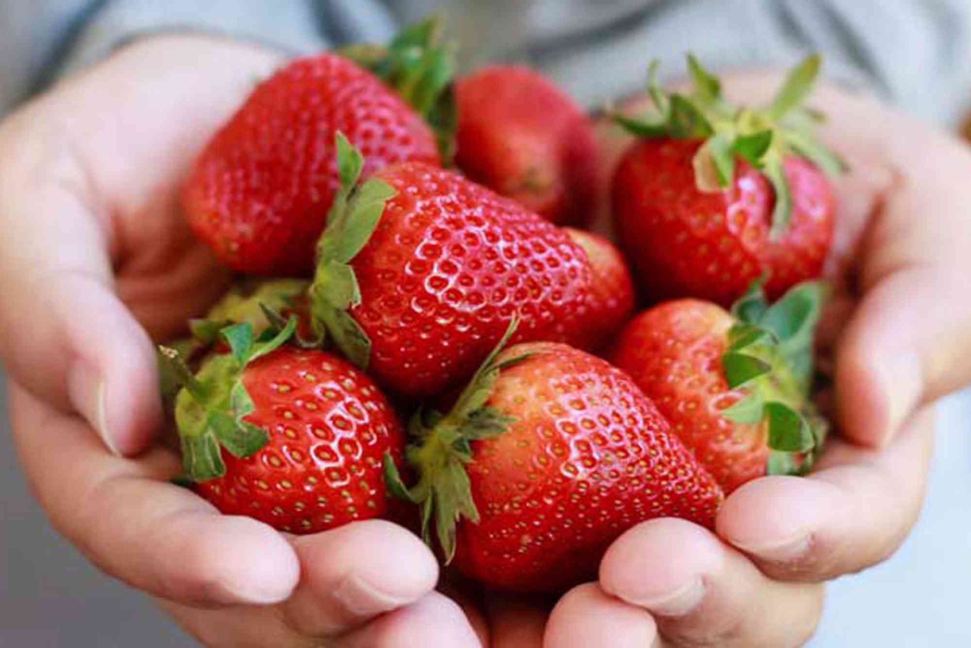 Nutritional Content of Strawberries