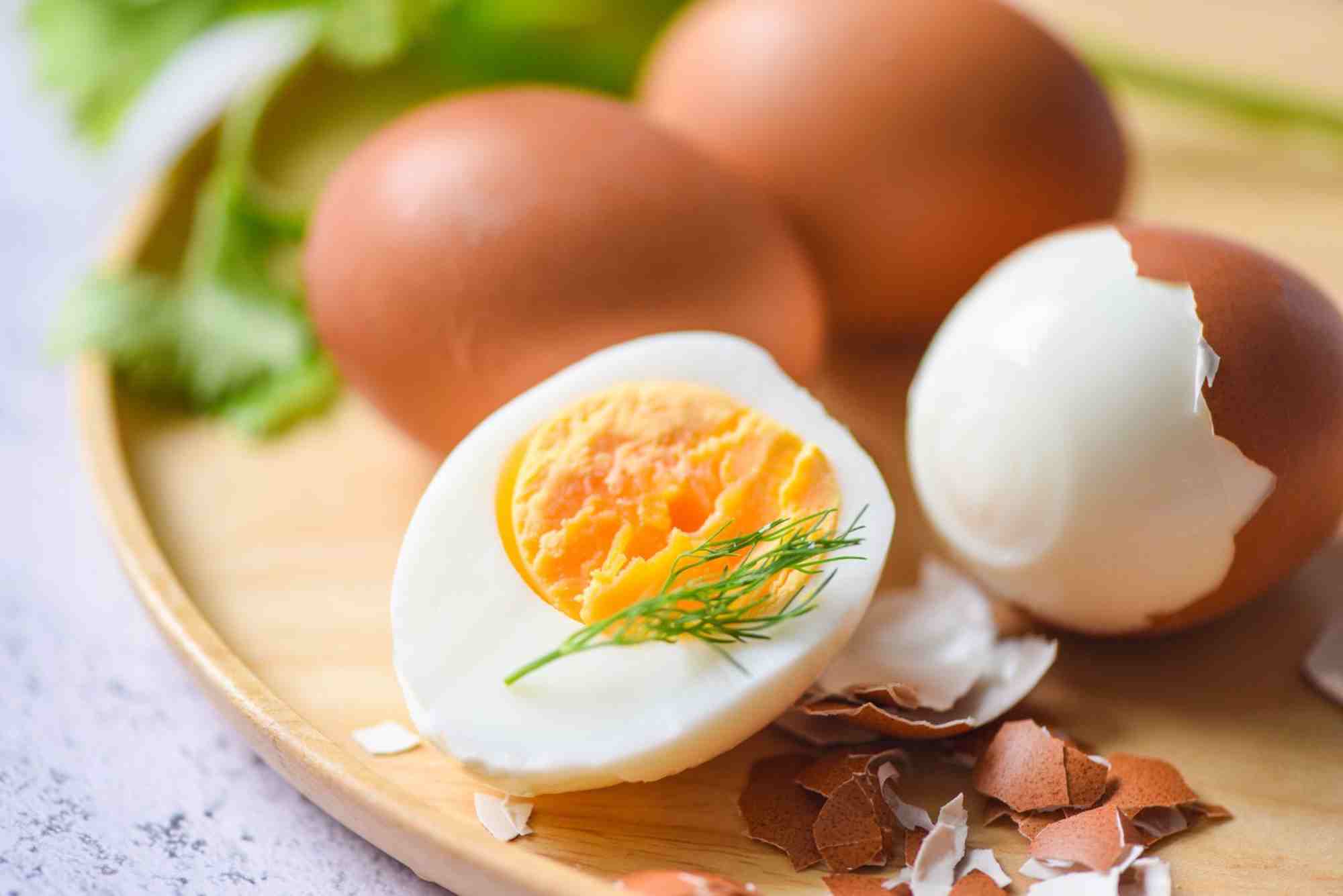 Egg Protein Content