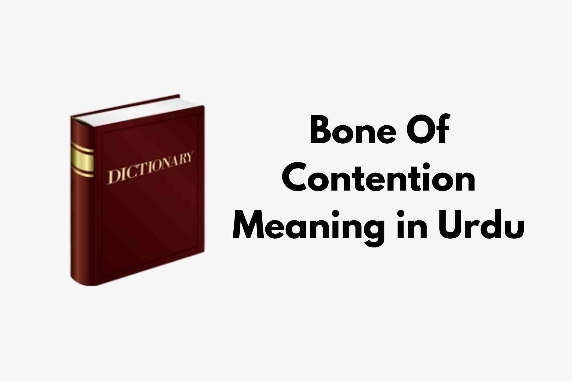 Bone Of Contention Meaning in Urdu