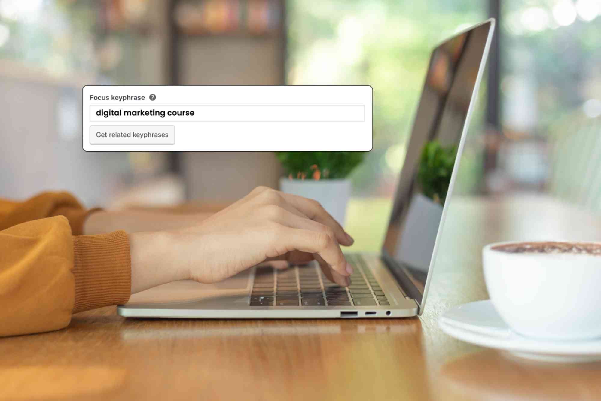 Wordpress SEO