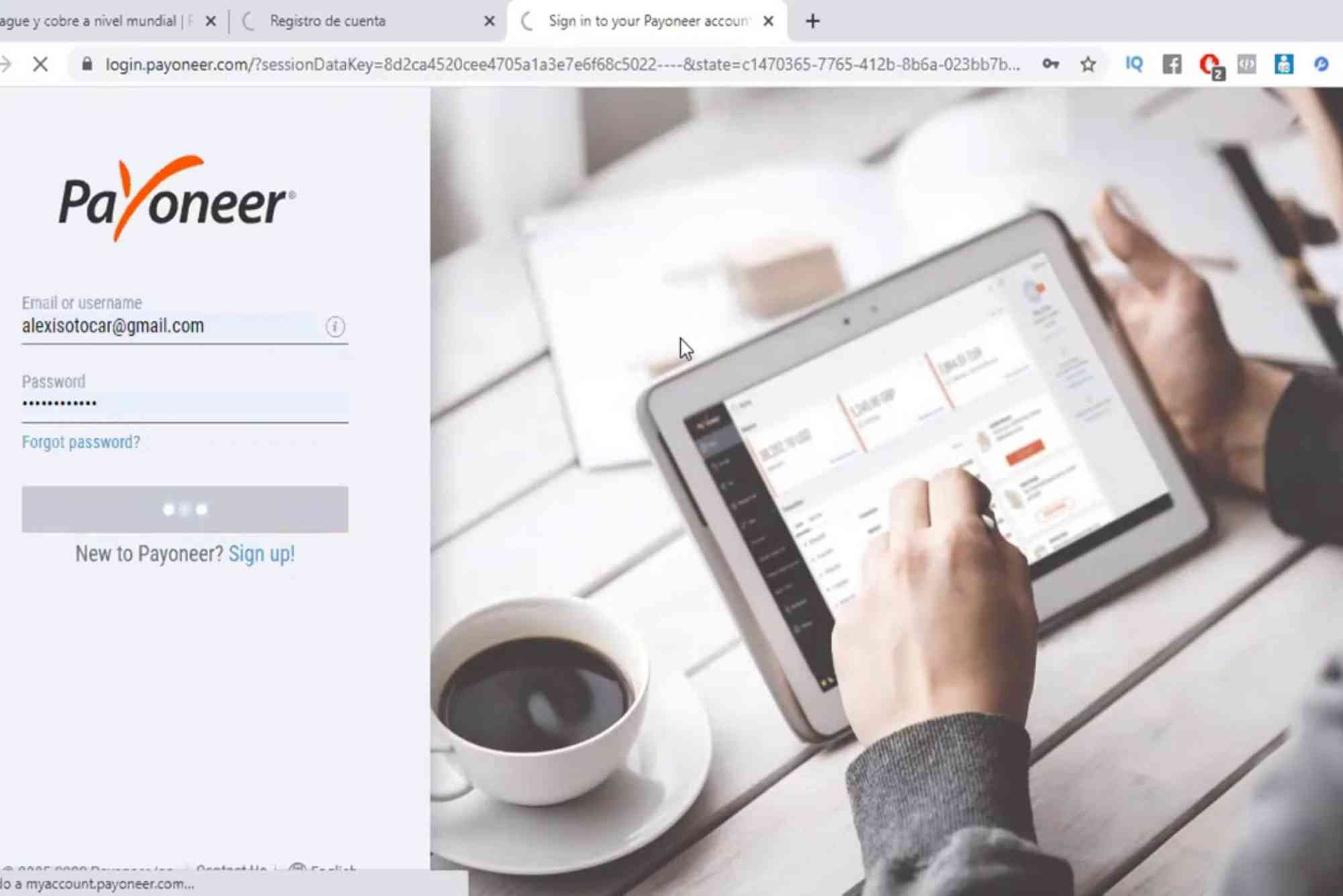 Payoneer Support Email